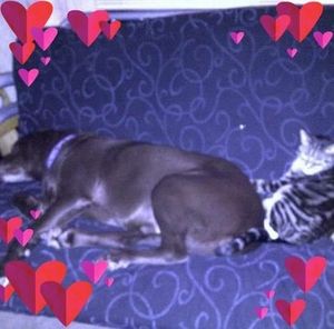 Meet your Posher, Brandy